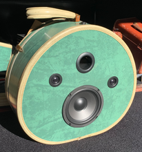 Load image into Gallery viewer, Green Bobble Sonic Suitcase