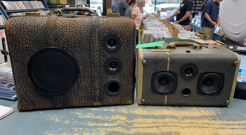 Susan Bell Sonic Suitcases