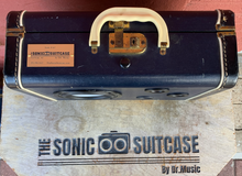 Load image into Gallery viewer, Blue Sweater Sonic Suitcase
