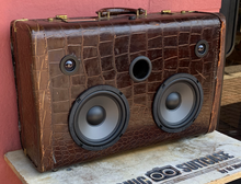 Load image into Gallery viewer, Brown Haven Sonic Suitcase