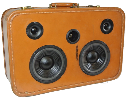 Tan Tire Sonic Suitcase