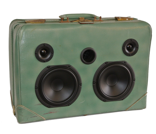 Green Heart Sonic Suitcase