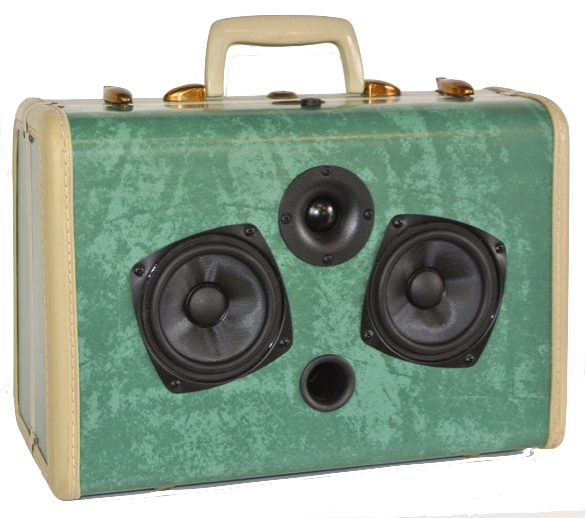Green Romp Sonic Suitcase