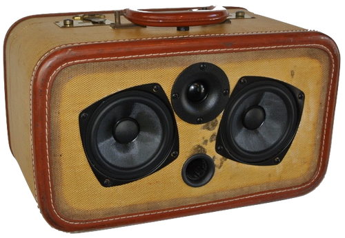 Brown Say Sonic Suitcase