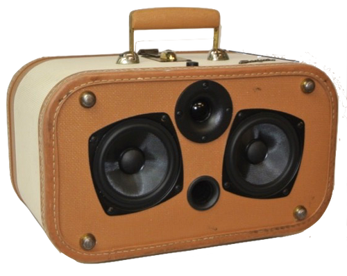 Brown Buster Sonic Suitcase