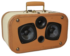 Brown Buster Sonic Suitcase