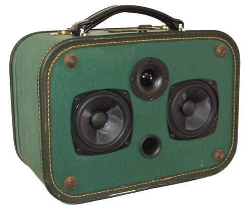 Green Hayes Sonic Suitcase