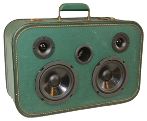 Green Sleeve Sonic Suitcase