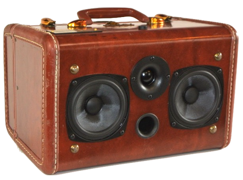 Maroon Candy Sonic Suitcase