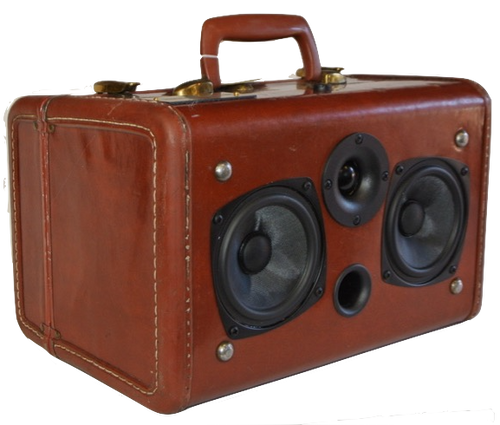 Red Grateful Sonic Suitcase