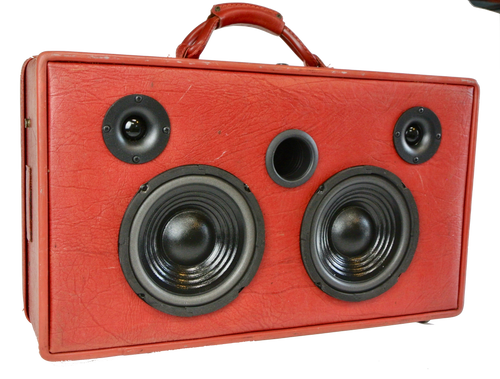 Red Sleeves Sonic Suitcase