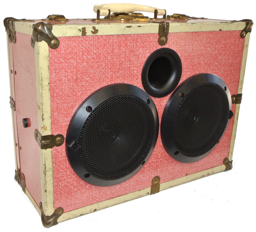 Pink Skate Sonic Suitcase