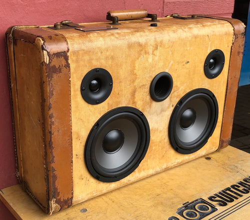 Brown Scruff Sonic Suitcase