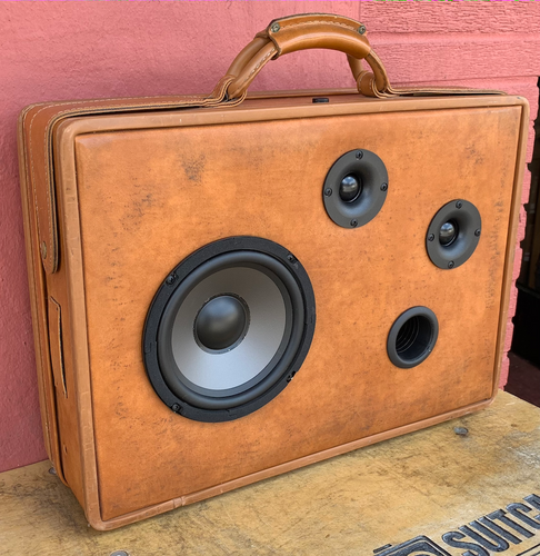 Brown Ranking Sonic Suitcase