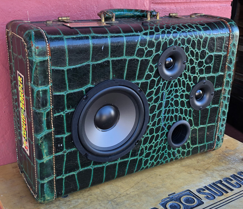 Green Slither Sonic Suitcase