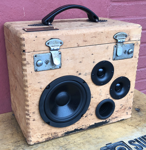 Brown Nekkid Sonic Suitcase