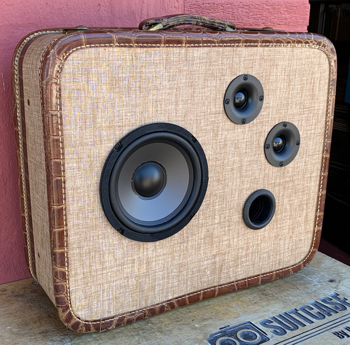 Brown Hatch Sonic Suitcase