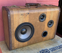 Load image into Gallery viewer, Brown Itch Sonic Suitcase