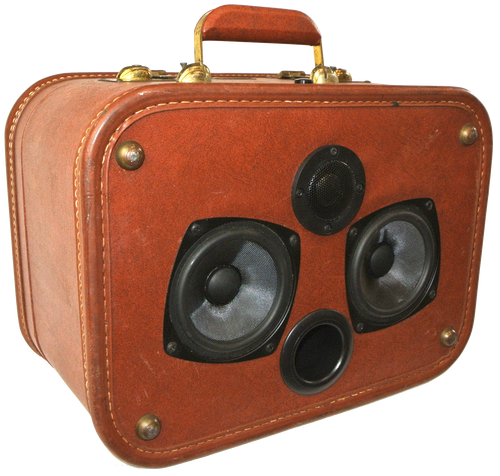 Maroon Taste Sonic Suitcase